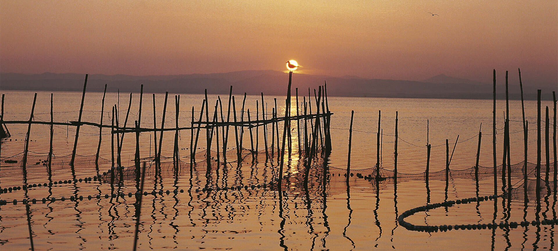 L'Albufera (Walencja) L'Albufera (Walencja)