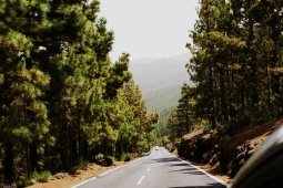 Ilhas Canárias, Paisagem Protegida de Los Campeches, Tigaiga e Ruíz