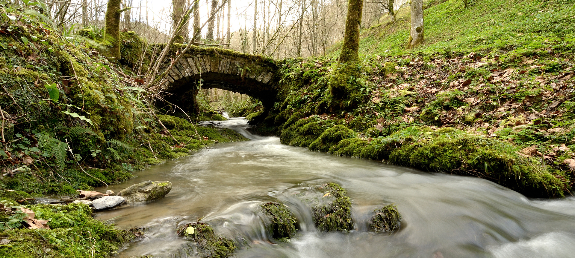 Ponte de pedra no Parque Natural de Pagoeta Ponte de pedra no Parque Natural de Pagoeta