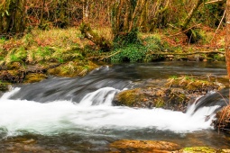 Reserva da Biosfera Rio Eo, Osco e Terras de Burón (Astúrias)