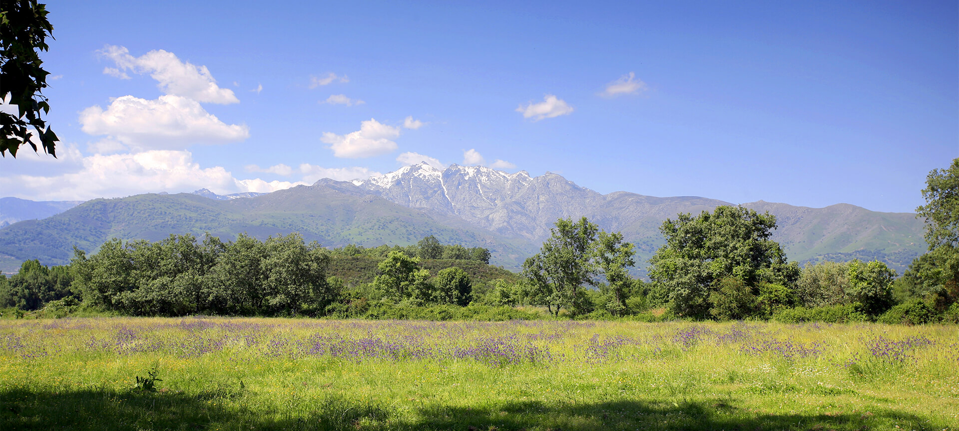 Sierra de Gredos, Iruelas, Ávila Sierra de Gredos, Iruelas, Ávila