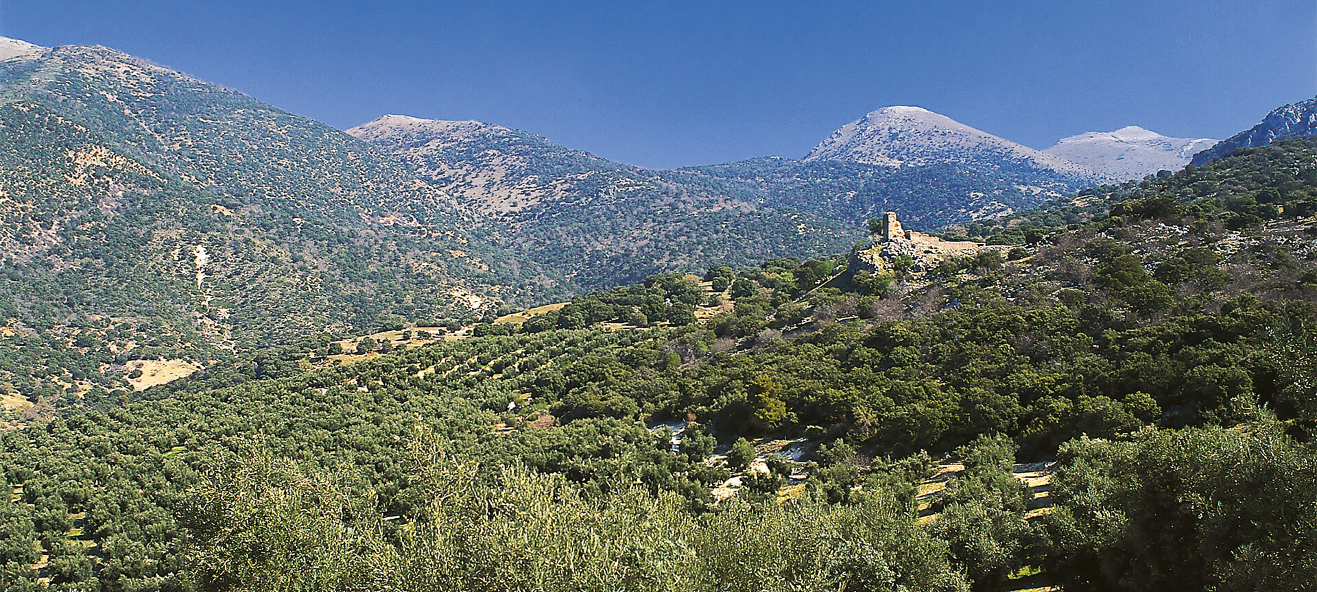 Sierra Maginá, Jaén Sierra Maginá, Jaén