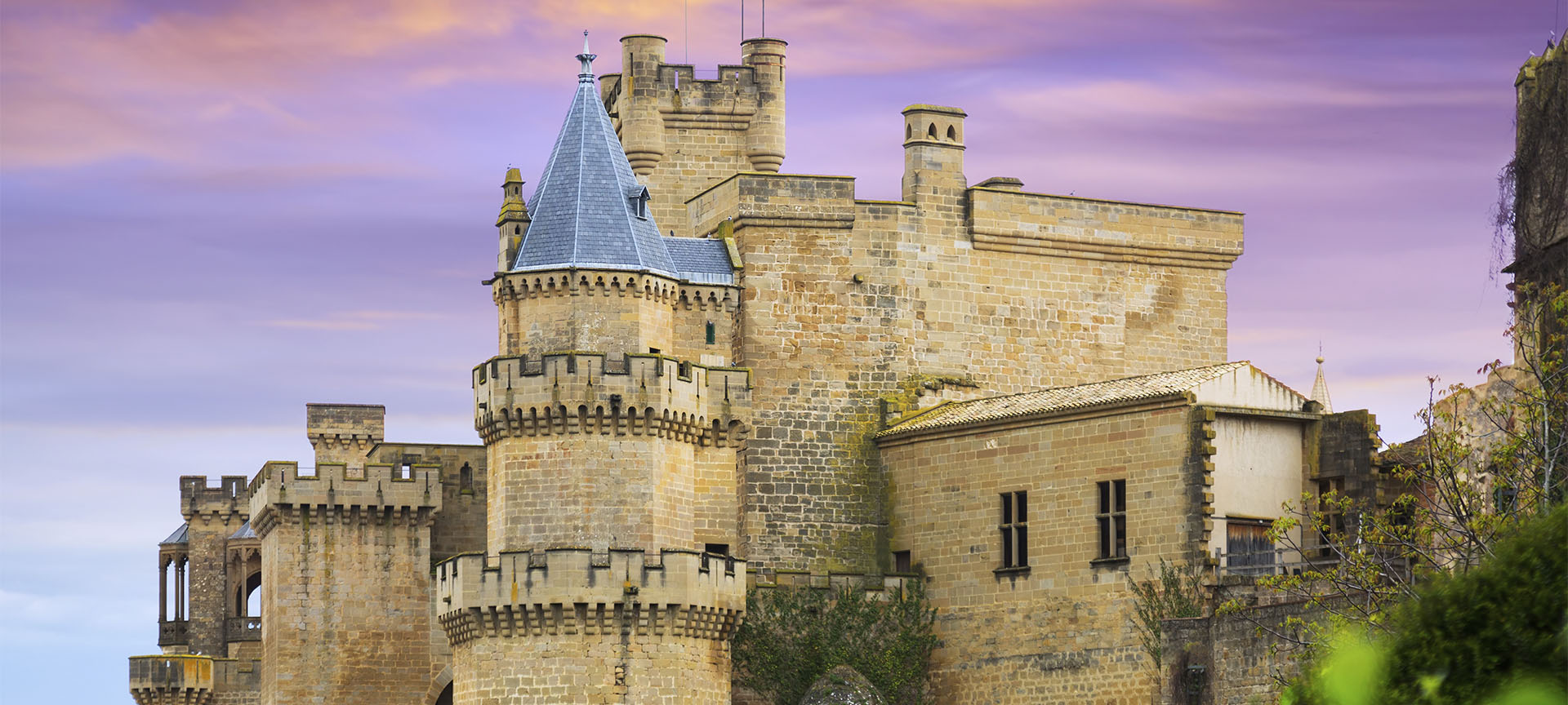 Olite Castle in Navarre