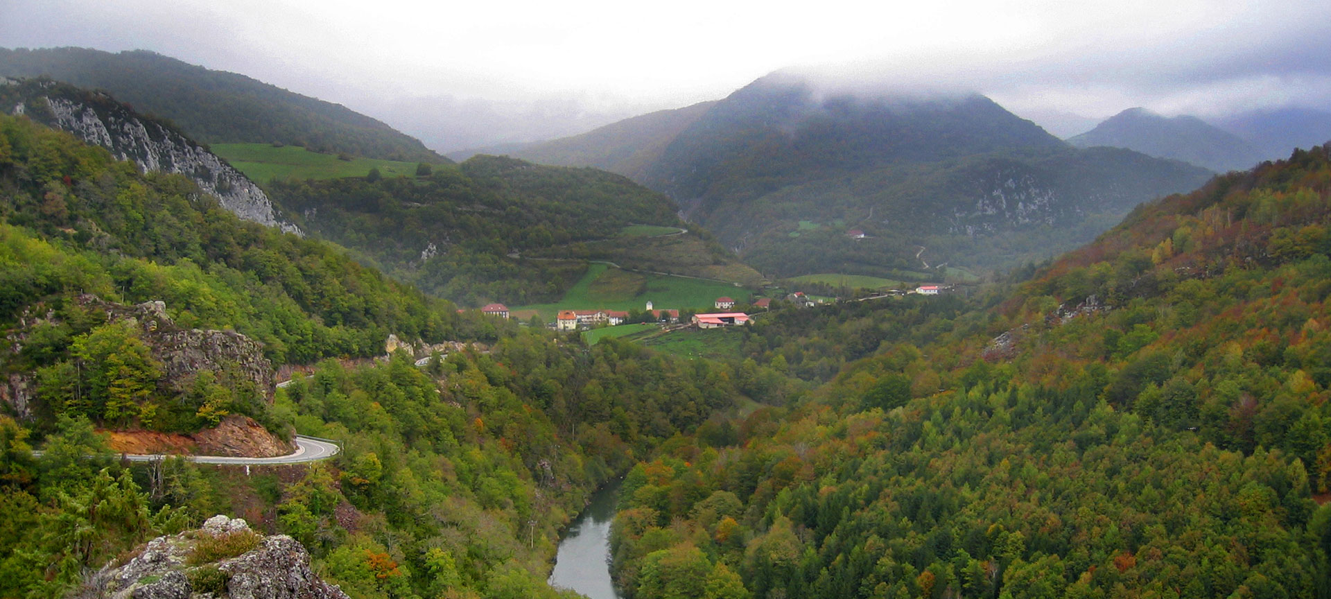 Selva de Irati Navarra