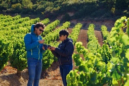 Turistas visitando um vinhedo na área de Baja Montaña, em Navarra