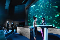 サン・セバスティアンのAuditorio Aquariumでのイベント