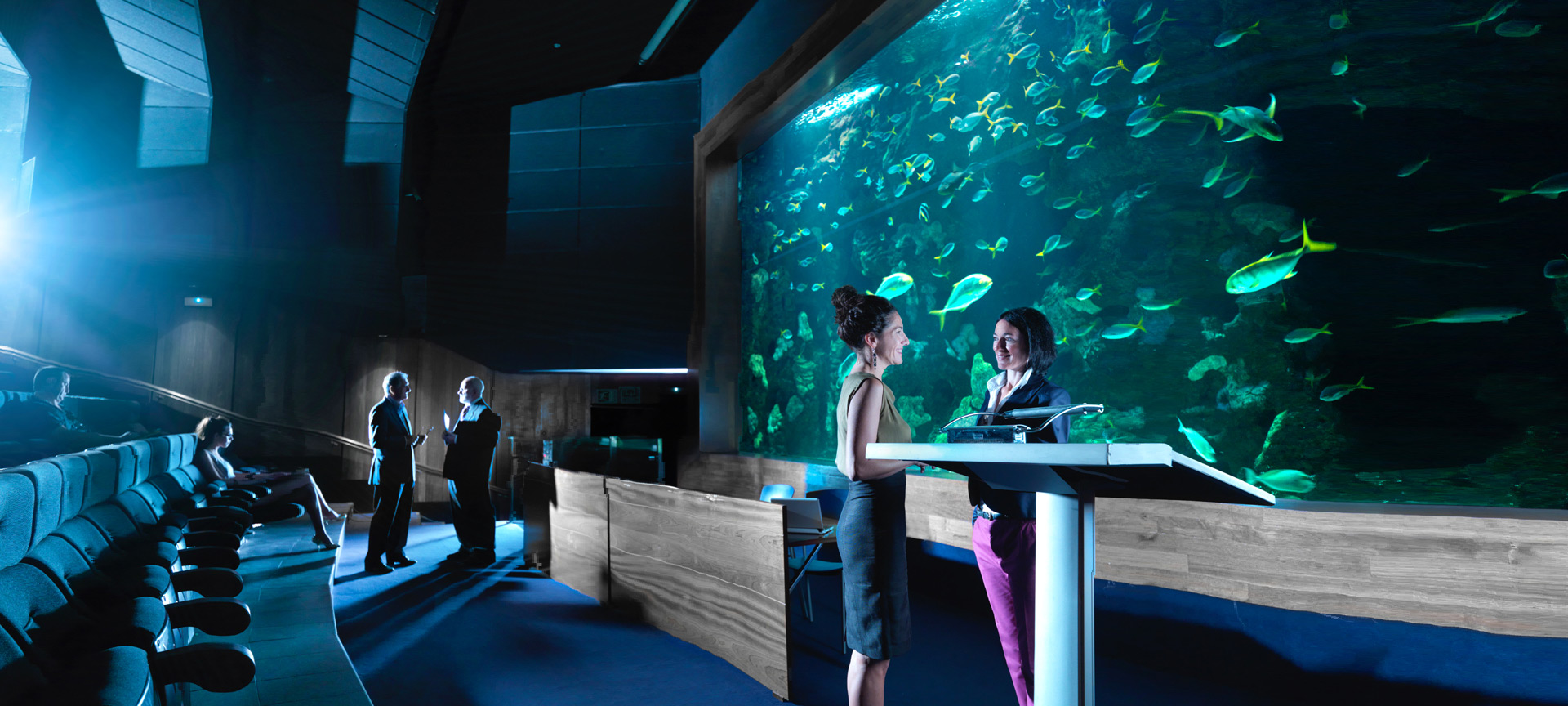 Мероприятие в зале Aquarium в Сан-Себастьяне. Мероприятие в зале Aquarium в Сан-Себастьяне.