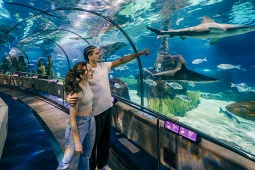 Barcelona Aquarium