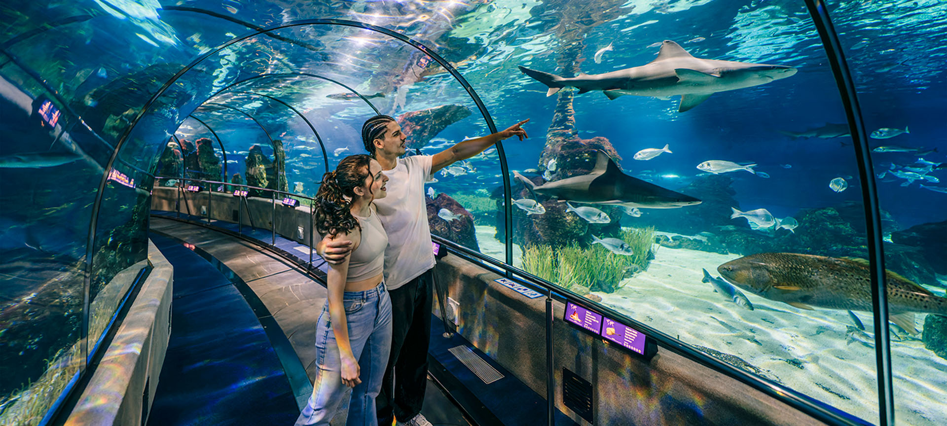 バルセロナ水族館