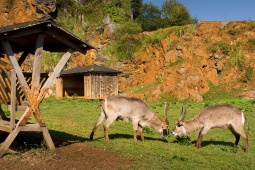 Cabárceno Natural Park