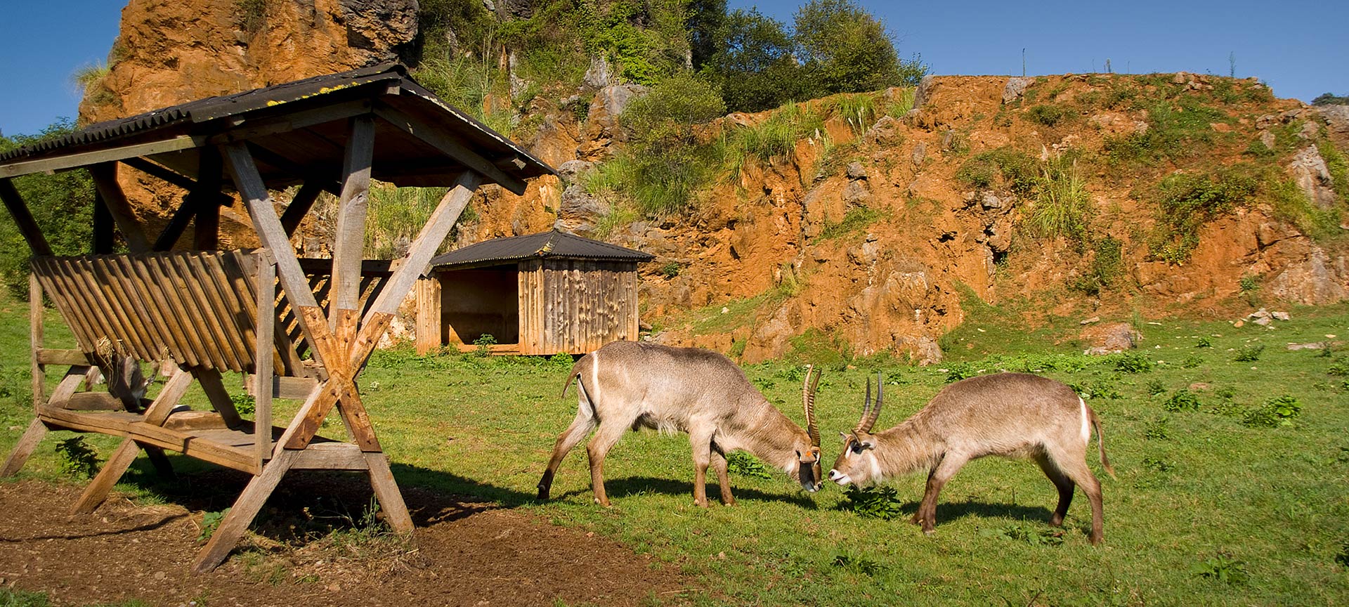 カバルセノ自然公園 カバルセノ自然公園