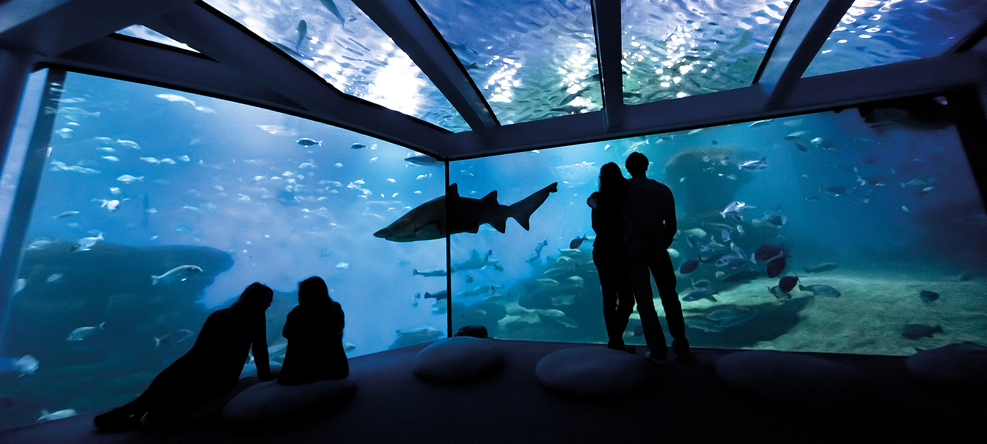 パルマ水族館
