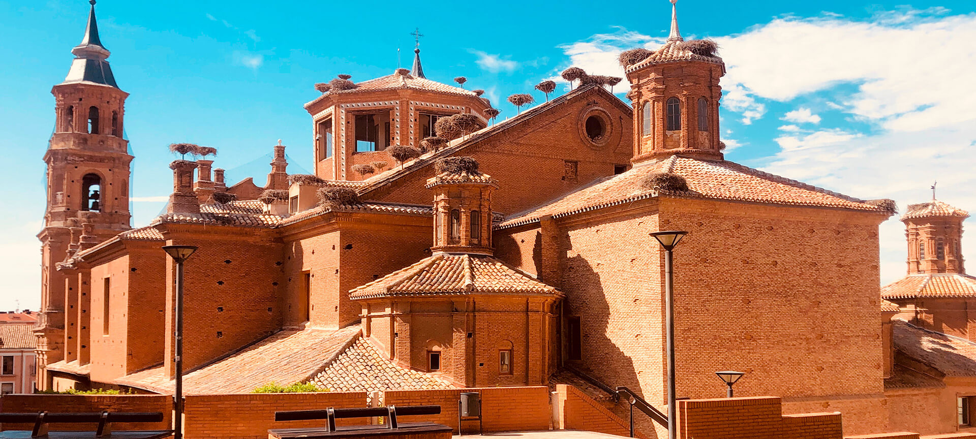 Collégiale San Miguel à Alfaro. La plus grande colonie de cigognes d’Europe