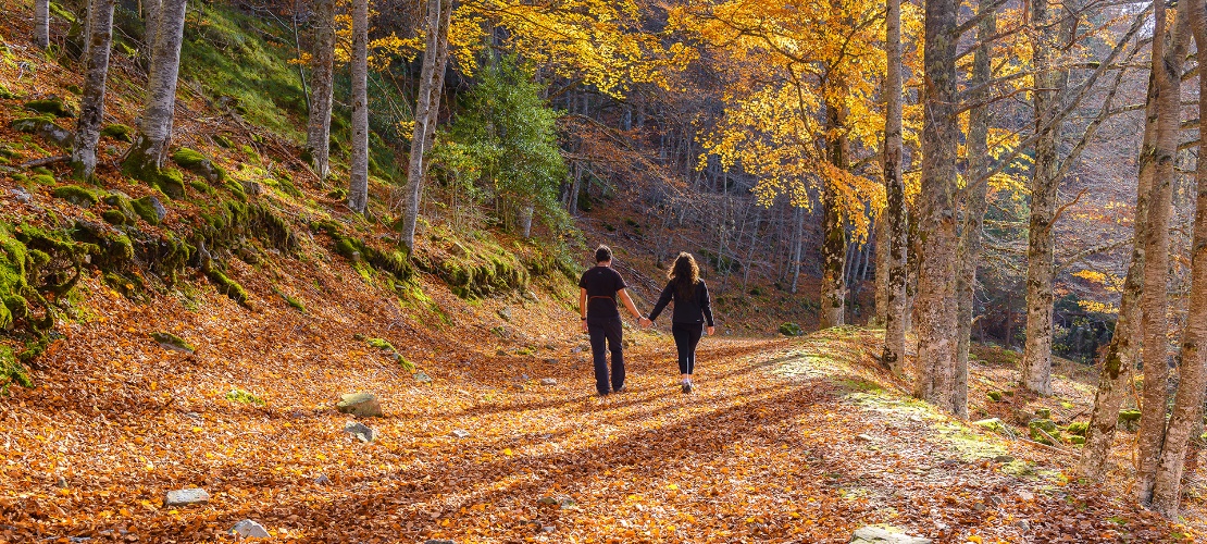 Couple strolling in Sierra de Cebollera Natural Park, La Rioja Couple strolling in Sierra de Cebollera Natural Park, La Rioja