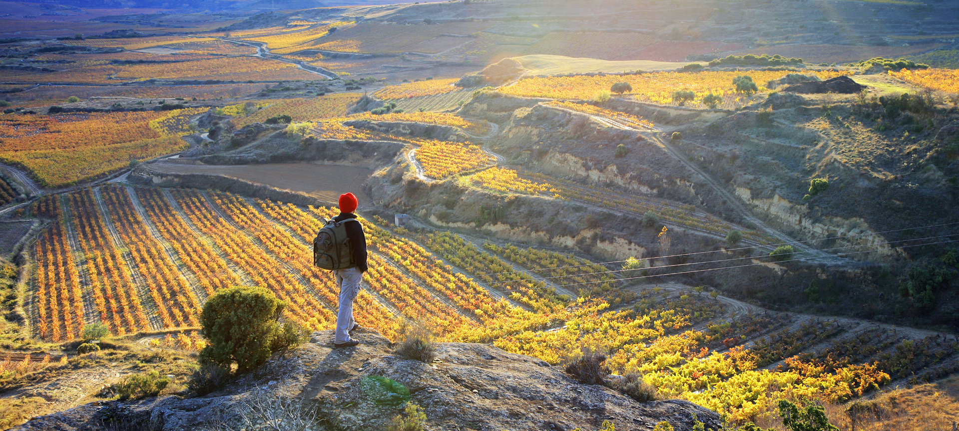 Tourist contemplating the Sonsierra vineyards in La Rioja
