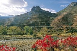 Vale Cidacos