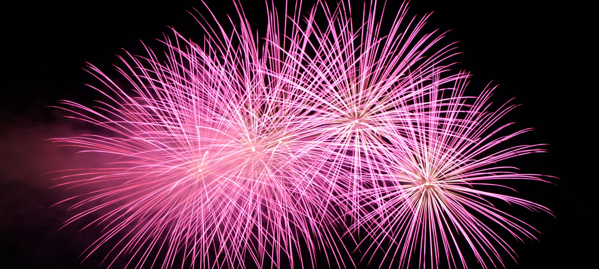 Fuochi d'artificio. Festa Nit de l’Albà a Elche, Alicante