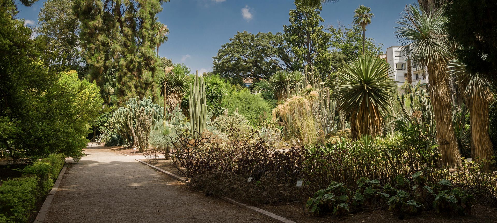 バレンシア大学植物園