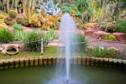 Jardín El Huerto del Cura
