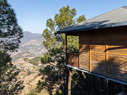 Relax on the treetops
