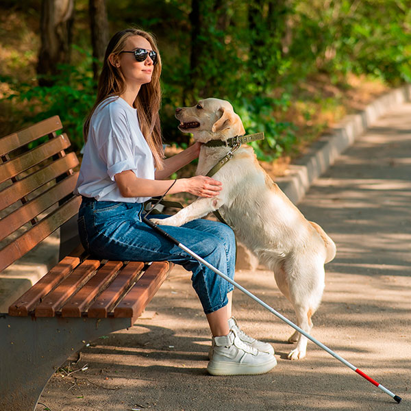 Accessibility in nature