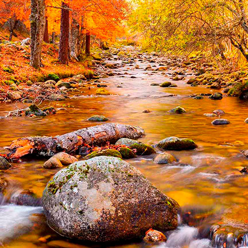 Sierra Cebollera Natural Park, La Rioja