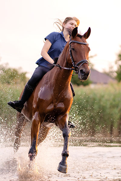 Mujer montando a caballo Mujer montando a caballo