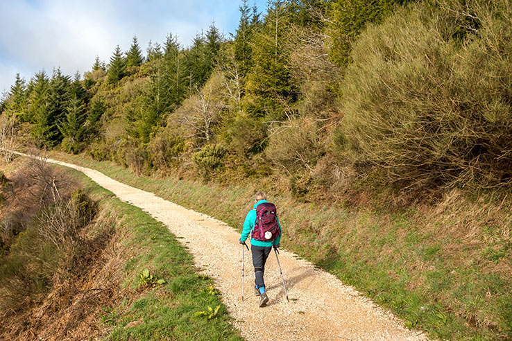 Une pèlerine dans la forêt sur le chemin de Compostelle Une pèlerine dans la forêt sur le chemin de Compostelle