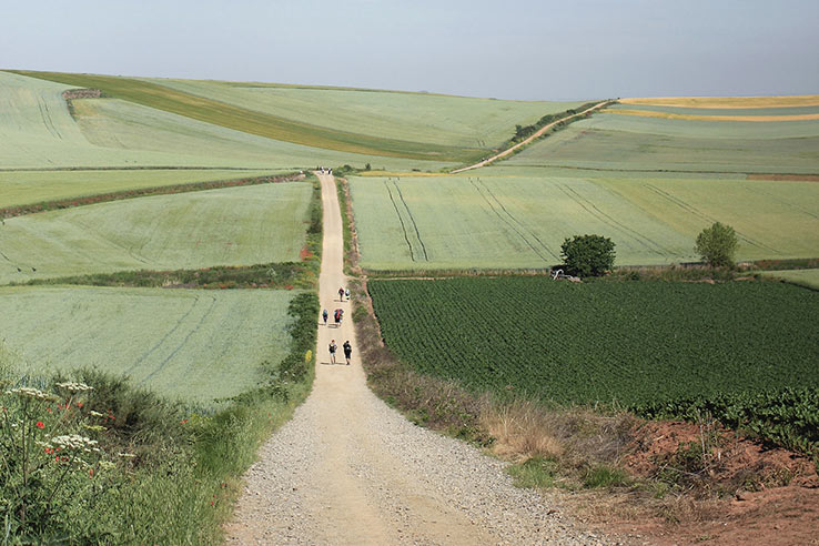 Paysage du Chemin de Saint-Jacques Paysage du Chemin de Saint-Jacques