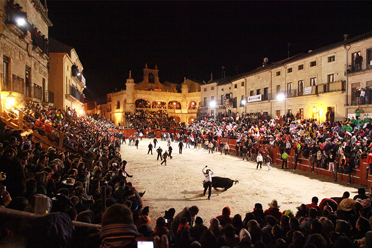 Course de jeunes taureaux lors du Carnaval del Toro de Ciudad Rodrigo (province de Salamanque, Castille-et-León) Course de jeunes taureaux lors du Carnaval del Toro de Ciudad Rodrigo (province de Salamanque, Castille-et-León)