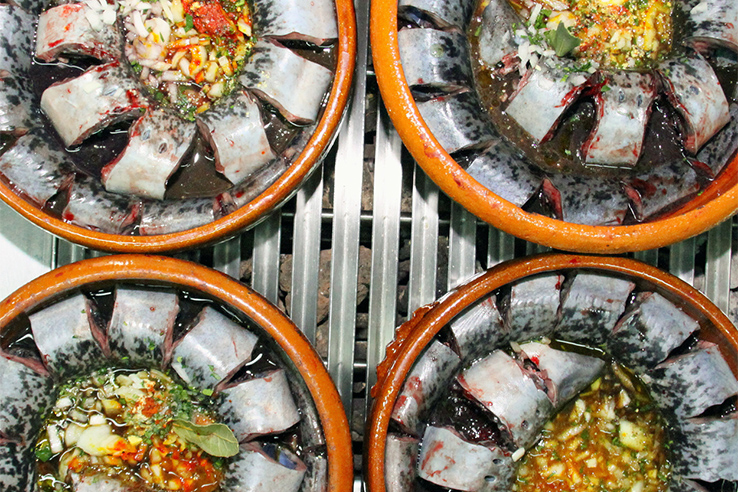 Tasting dishes at the Lamprey Festival in Arbo (Pontevedra, Galicia) Tasting dishes at the Lamprey Festival in Arbo (Pontevedra, Galicia)