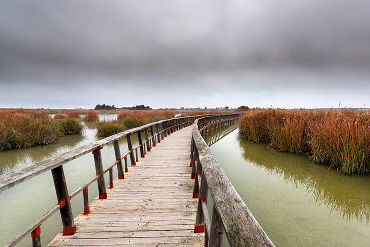 Passerelles sur le lac de Tablas de Daimiel Passerelles sur le lac de Tablas de Daimiel