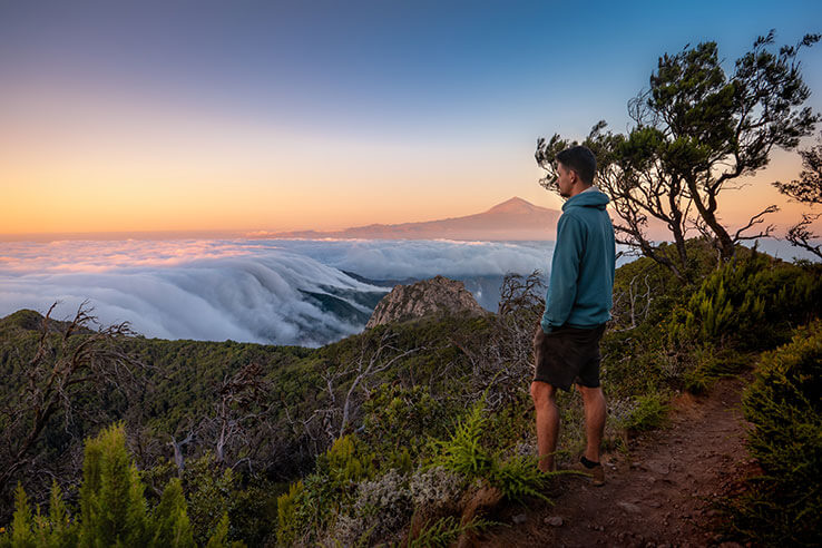 Vistas del parque entre el mar de nubes y el Teide al fondo Vistas del parque entre el mar de nubes y el Teide al fondo