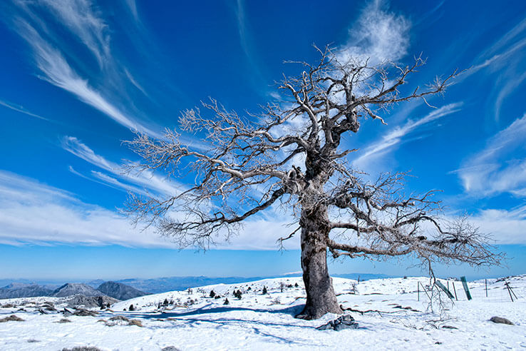 Winter landscape in the Sierra de las Nieves National Park, Málaga Winter landscape in the Sierra de las Nieves National Park, Málaga