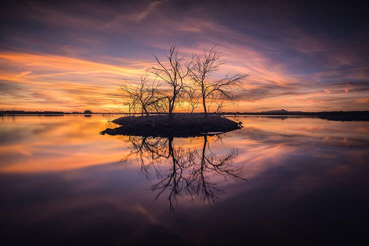 Un arbre au milieu d’une lagune, au coucher du soleil Un arbre au milieu d’une lagune, au coucher du soleil