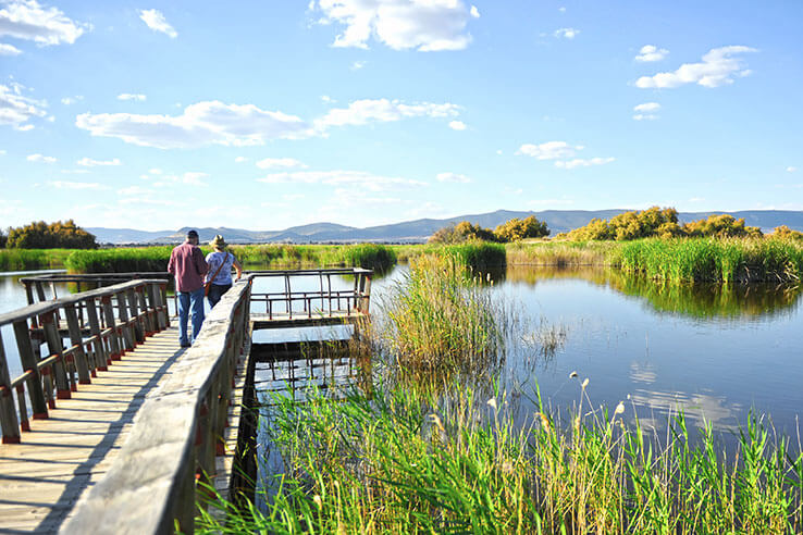 Belvédère du lac Belvédère du lac