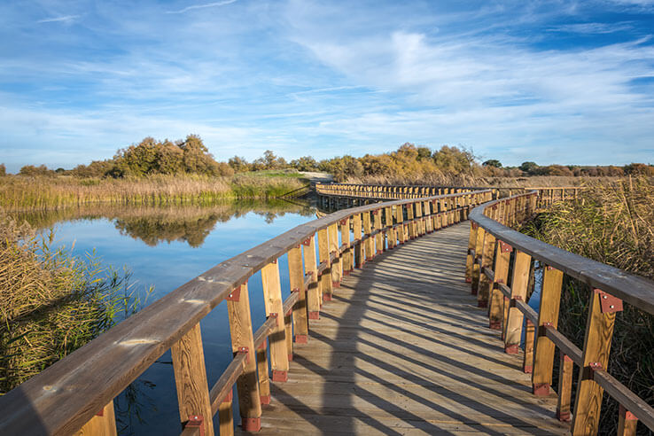 Passerelles sur le lac Passerelles sur le lac