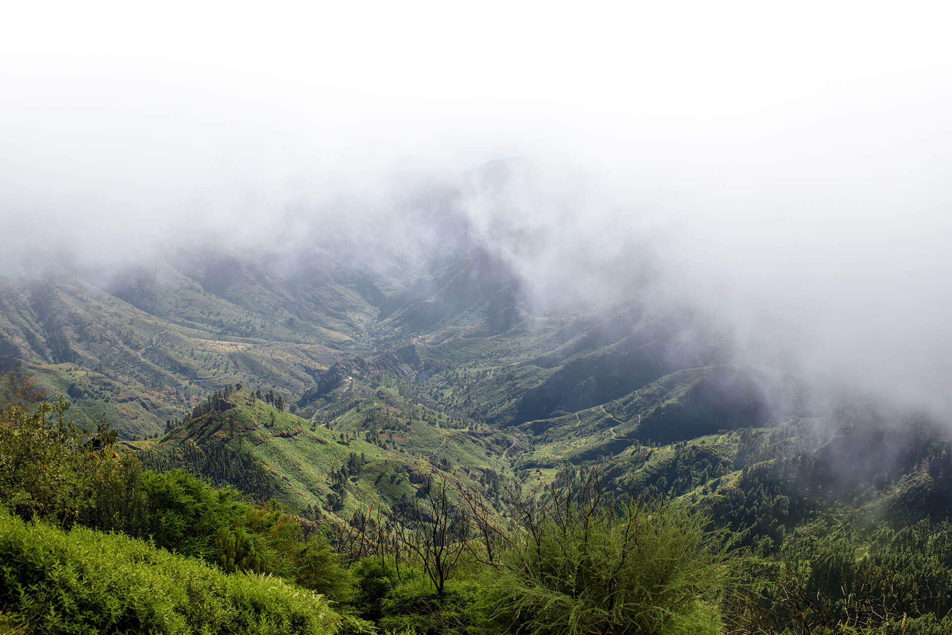 Parque Nacional de Garajonay, La Gomera Parque Nacional de Garajonay, La Gomera