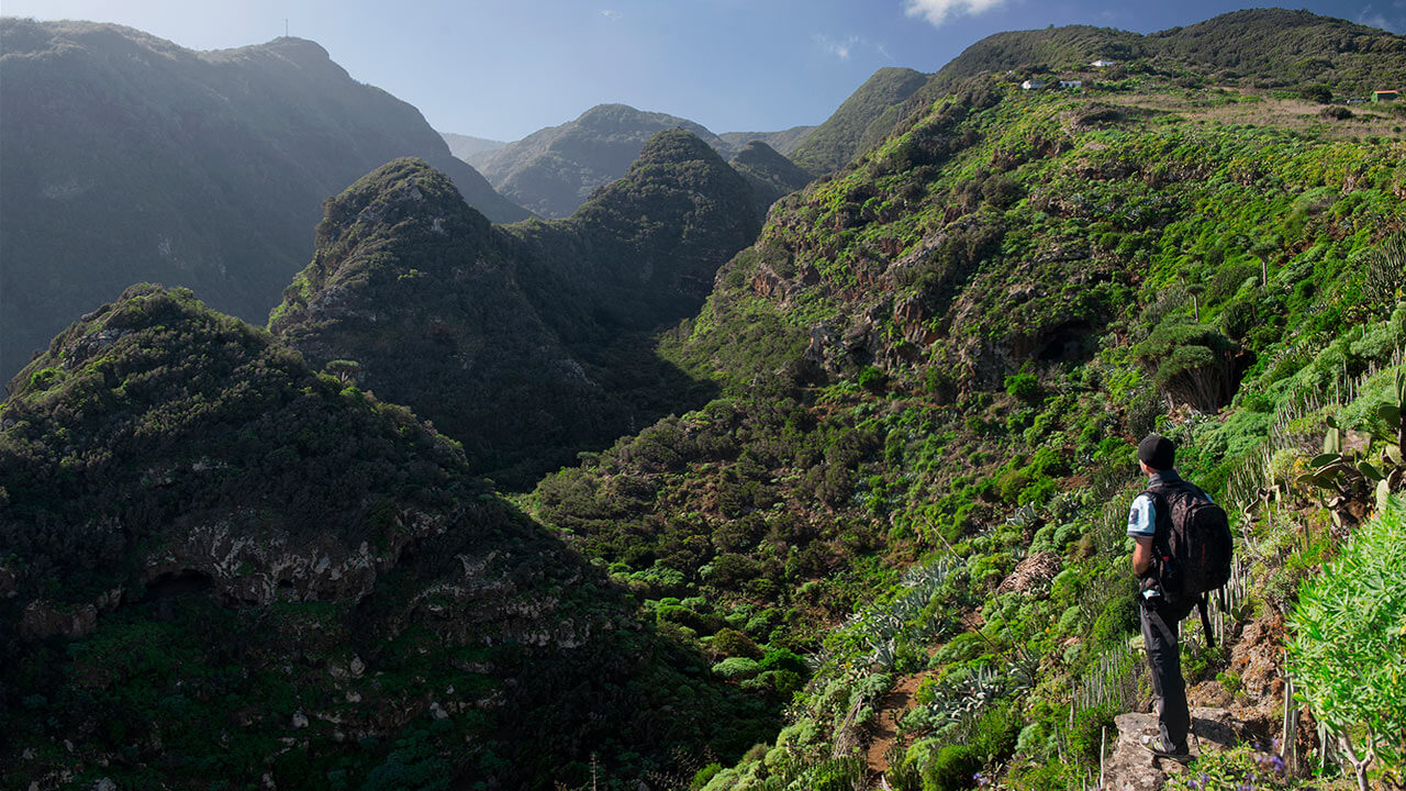 Parque natural de Las Nieves en la isla de La Palma Parque natural de Las Nieves en la isla de La Palma