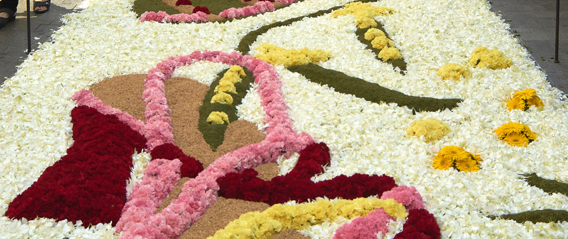 Detail of a floral carpet in Sitges, Barcelona