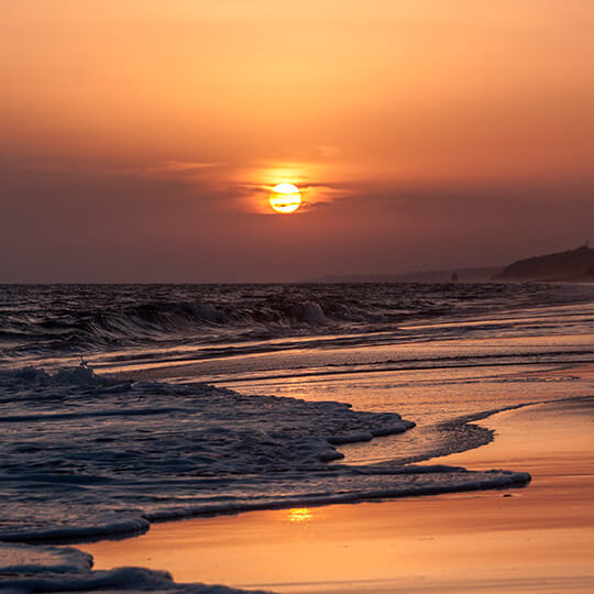 Abendgrauen im Nationalpark Doñana
