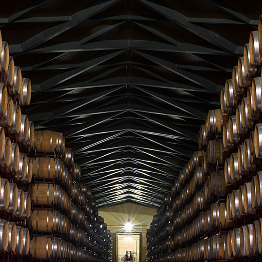 Cantina dell’itinerario enoturistico di Cariñena