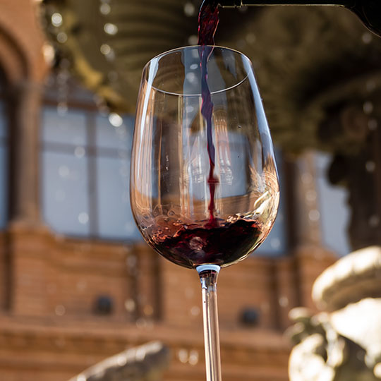 Bicchiere di vino dell’itinerario enoturistico di Cariñena