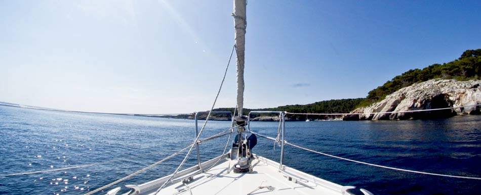 Vela Vela