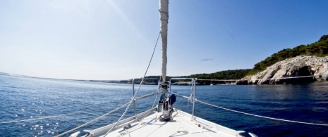 Vela Vela