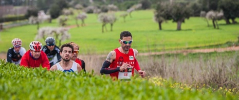 Sol Meia Maratona de Magaluf © Rafa Babot. Imagens cedidas por ICE Institut Calvianer d'Esports Sol Meia Maratona de Magaluf © Rafa Babot. Imagens cedidas por ICE Institut Calvianer d'Esports