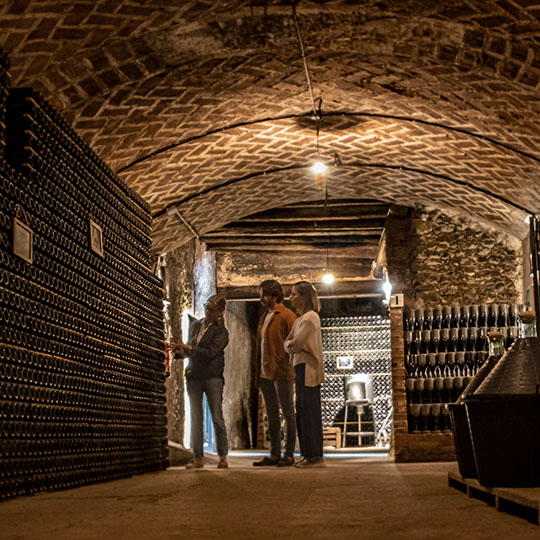 Winery on the Penedès Wine Route.
