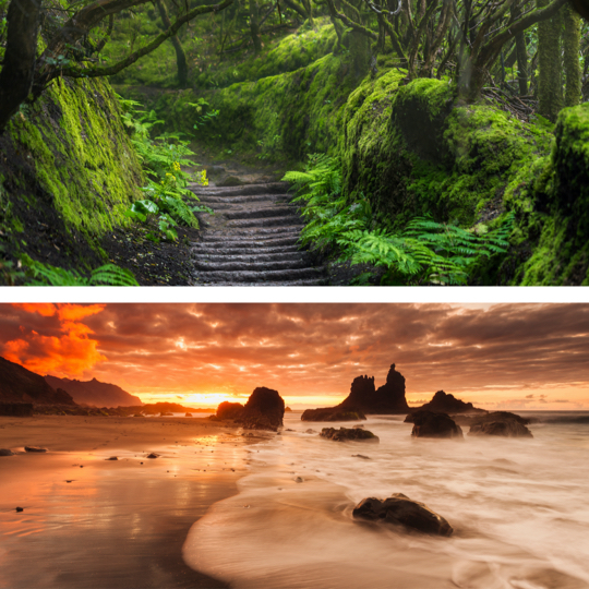 Above: Trail in the Parque Rural de Anaga, Tenerife / Below: Benijo Beach in Santa Cruz de Tenerife