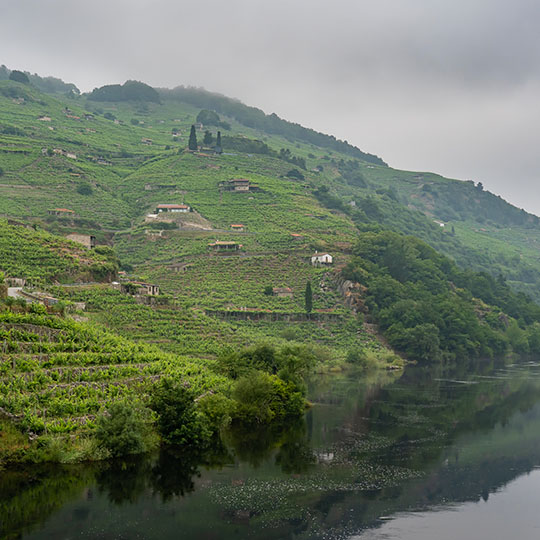 Weinberge an der Weinstraße Ribeira Sacra