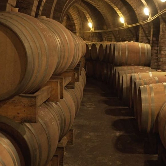 Cave sur la Route du vin d’Arlanza